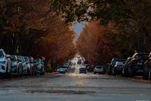 3530 Missouri Ave, Saint Louis, MO 63118 - Photo 27