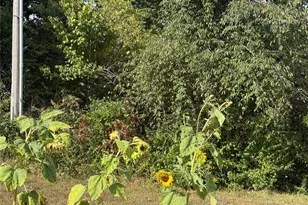 67 Hwy 67, Farmington, MO 63640 - Photo 5