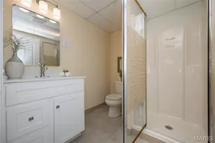 194 Braeshire Dr, Saint Louis, MO 63021 - Photo 41