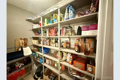 29 Saint Ann Avenue, St James, MO 65559 - Photo 11