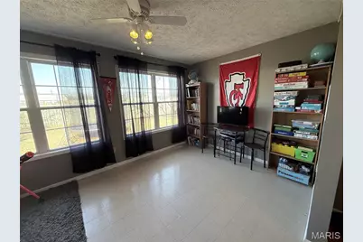 29 Saint Ann Avenue, St James, MO 65559 - Photo 13