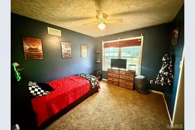 29 Saint Ann Avenue, St James, MO 65559 - Photo 15