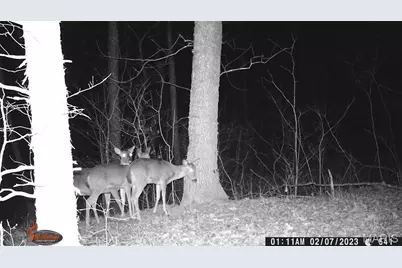 8995 Bammann Place, Dittmer, MO 63023 - Photo 75