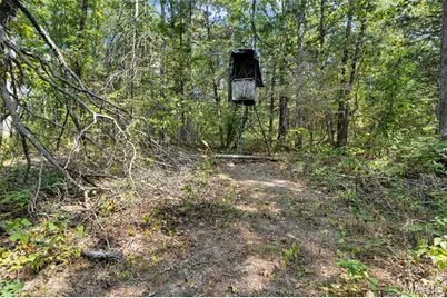 8995 Bammann Place, Dittmer, MO 63023 - Photo 61