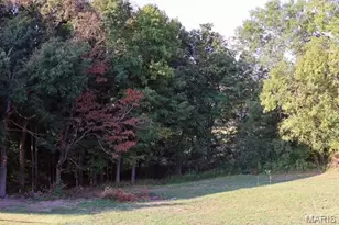 436 Emerald Vly Ln, Cape Girardeau, MO 63701 - Photo 21