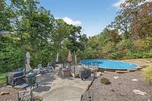 45 Blue Line Ln, Silex, MO 63377 - Photo 55