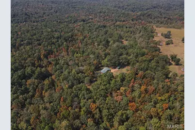 1981 Ripley Route C, Doniphan, MO 63935 - Photo 53