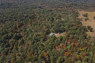 1981 Ripley Rte C, Doniphan, MO 63935 - Photo 53