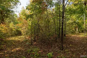1981 Ripley Rte C, Doniphan, MO 63935 - Photo 47