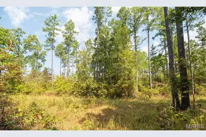 1981 Ripley Route C, Doniphan, MO 63935 - Photo 39