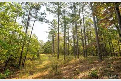 1981 Ripley Route C, Doniphan, MO 63935 - Photo 49