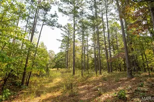 1981 Ripley Rte C, Doniphan, MO 63935 - Photo 49