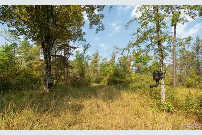 1981 Ripley Route C, Doniphan, MO 63935 - Photo 45