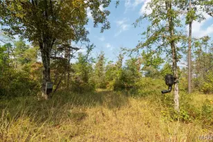 1981 Ripley Rte C, Doniphan, MO 63935 - Photo 45