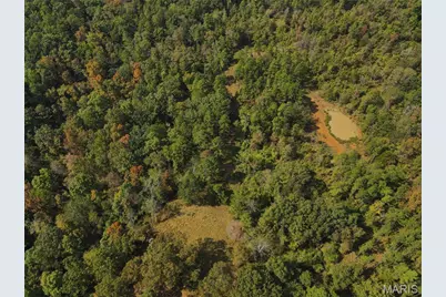 1981 Ripley Route C, Doniphan, MO 63935 - Photo 55