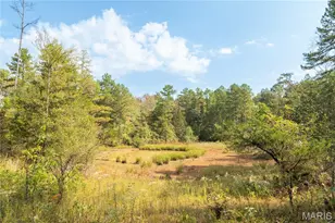 1981 Ripley Rte C, Doniphan, MO 63935 - Photo 41