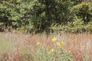 602 W 6th St, Dixon, MO 65459 - Photo 5