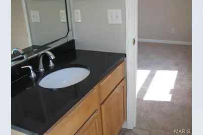 219 Charmers Court, Kirkwood, MO 63122 - Photo 11