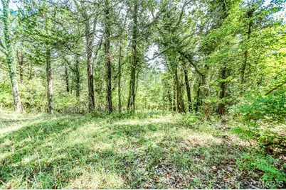 6302 Upper Byrnes Mill, Byrnes Mill, MO 63051 - Photo 9