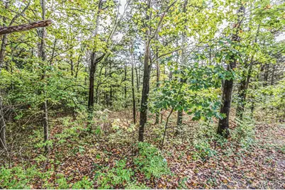 6302 Upper Byrnes Mill, Byrnes Mill, MO 63051 - Photo 13