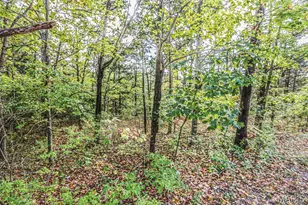 6302 Upper Byrnes Mill, Byrnes Mill, MO 63051 - Photo 13