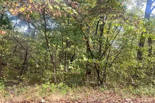 0 Bell St, Potosi, MO 63664 - Photo 3