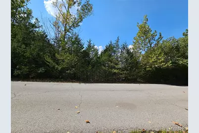 10020 Waterford Drive, Hillsboro, MO 63050 - Photo 11