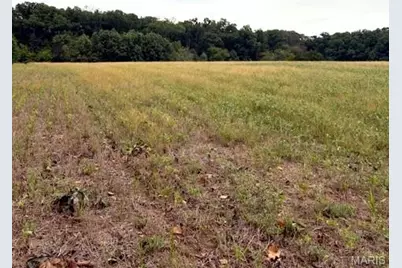 59.371 Ac Dream Hollow Road, Troy, MO 63379 - Photo 9