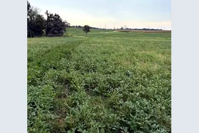 59.371 Ac Dream Hollow Road, Troy, MO 63379 - Photo 7