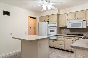 3166 Tamm Ave, Saint Louis, MO 63139 - Photo 19