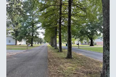 39932 Myers Street, Malden, MO 63863 - Photo 39