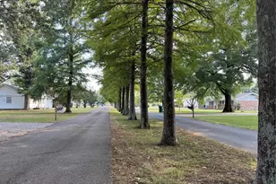 39932 Myers St, Malden, MO 63863 - Photo 39