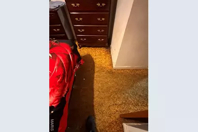 1119 Astoria Drive, Saint Louis, MO 63137 - Photo 7