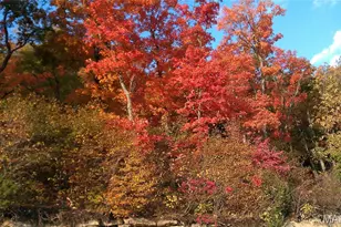 4537 Augusta Shores Ct, Augusta, MO 63332 - Photo 61