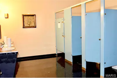 10192 Halls Ferry Road, Florissant, MO 63136 - Photo 11