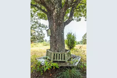 807 County Road 6410, Salem, MO 65560 - Photo 45