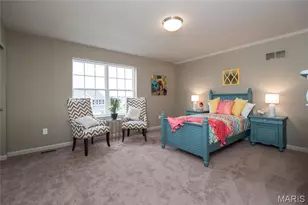 1 Tbb Parker 2 Car @ The Villages At Post Farms, O'Fallon, MO 63385 - Photo 11