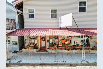 107 E Springfield Street, St James, MO 65559 - Photo 3