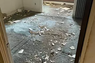 4450 Holly Ave, Saint Louis, MO 63115 - Photo 19