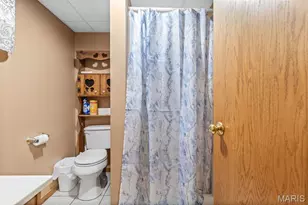 465 Sycamore Dr, Saint Genevieve, MO 63670 - Photo 35