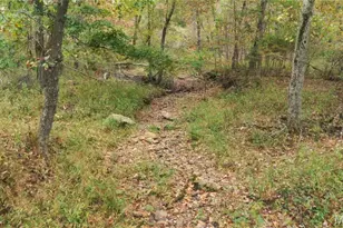 100 Cool Breeze Ln, Fredericktown, MO 63645 - Photo 29