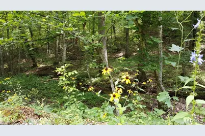 0 Singer Trail 3.84+/-Ac, Potosi, MO 63664 - Photo 25