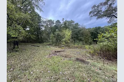 Box 3815 Hc 3, Greendale, MO 63944 - Photo 5