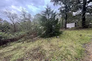 Box 3815 Hc 3, Greendale, MO 63944 - Photo 9