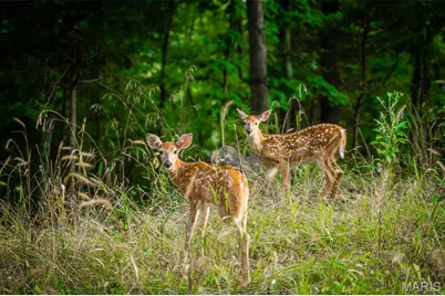 2017 Heather Drive, Lake Sherwood, MO 63357 - Photo 31