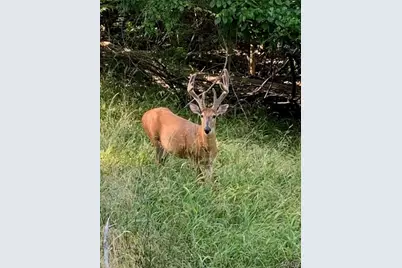 2014 Heather Drive, Lake Sherwood, MO 63357 - Photo 33