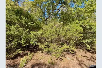 2162 S Lake Sherwood Drive, Lake Sherwood, MO 63357 - Photo 3