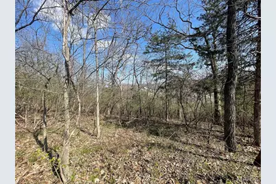 Bulk South Ridge Trail, Byrnes Mill, MO 63051 - Photo 19