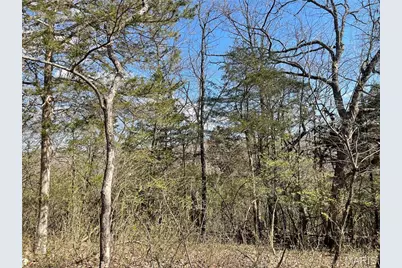 Bulk South Ridge Trail, Byrnes Mill, MO 63051 - Photo 17