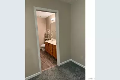 54 Deer Grove Drive, Saint Peters, MO 63376 - Photo 17